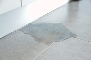 5-Reasons-You-Need-Emergency-Plumbing-Service-_-Oak-Ridge,-TN