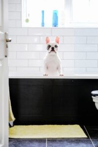 Importance-Of-Professional-Drain-Cleaning-Service-For-Homeowners-_-Knoxville,-TN