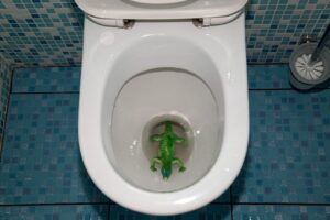 Drain-Cleaning-Service-Discoveries--Top-Causes-Of-Drain-Clogs-And-A-Few-Unusual-Ones-_-Oak-Ridge,-TN