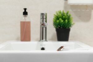 Is-It-Time-To-Start-Thinking-About-Drain-Cleaning-From-Your-Plumbing-Company--_-Knoxville,-TN
