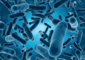 Contaminants-In-Your-Flooded-Basement--A-Reason-Hire-An-Emergency-Plumber-_-Oak-Ridge,-TN