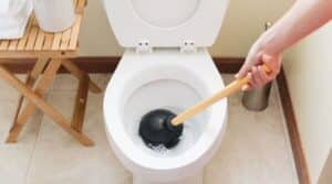 toilet