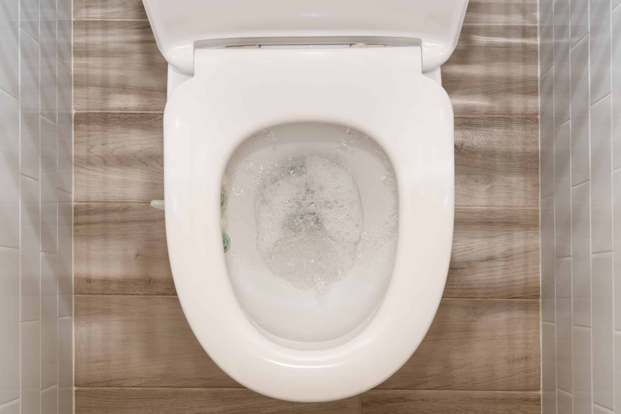 Root Intrusion Control for Safer Sewer Lines in Knoxville 1 Gurgling sounds from toilets, Root Intrusion Control.