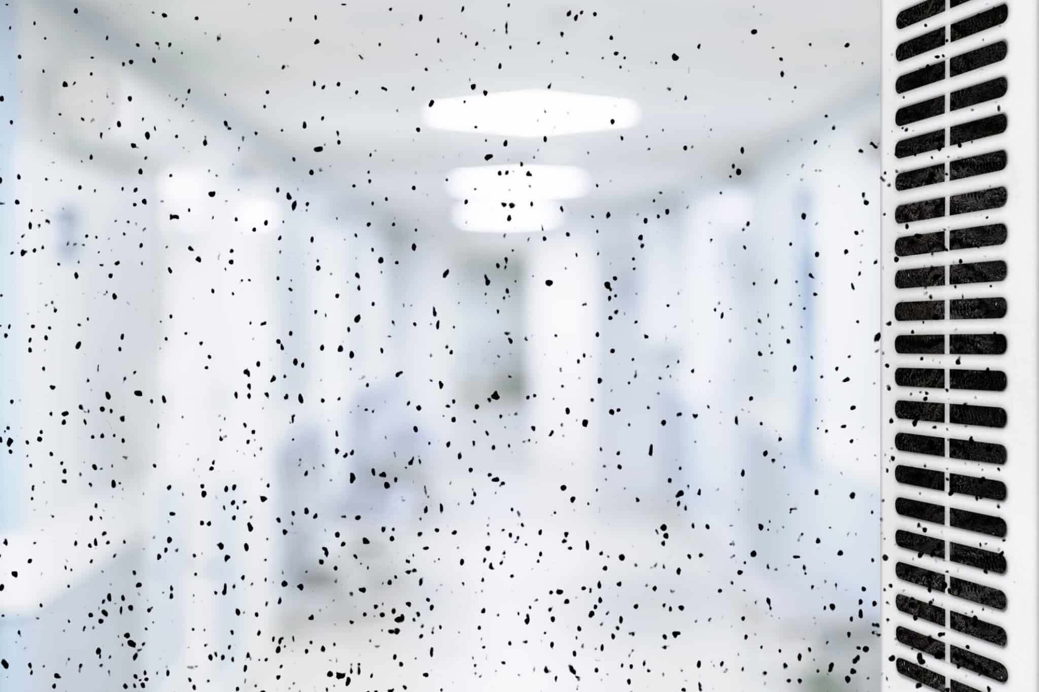 Indoor Air Quality Solutions for Healthier Homes 2 Dust and dirt buildup on a ventilation grill causing poor indoor air quality.