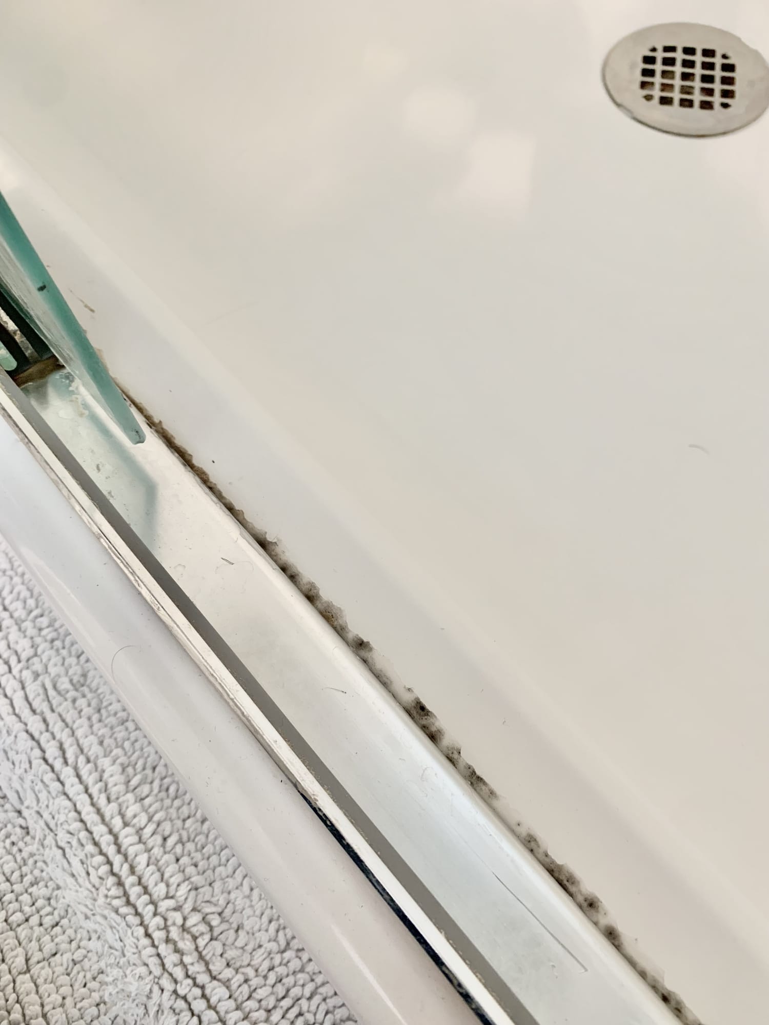 Shower Pan Leak Signs and Fix Options 1 Mold growth, Shower pan leak.