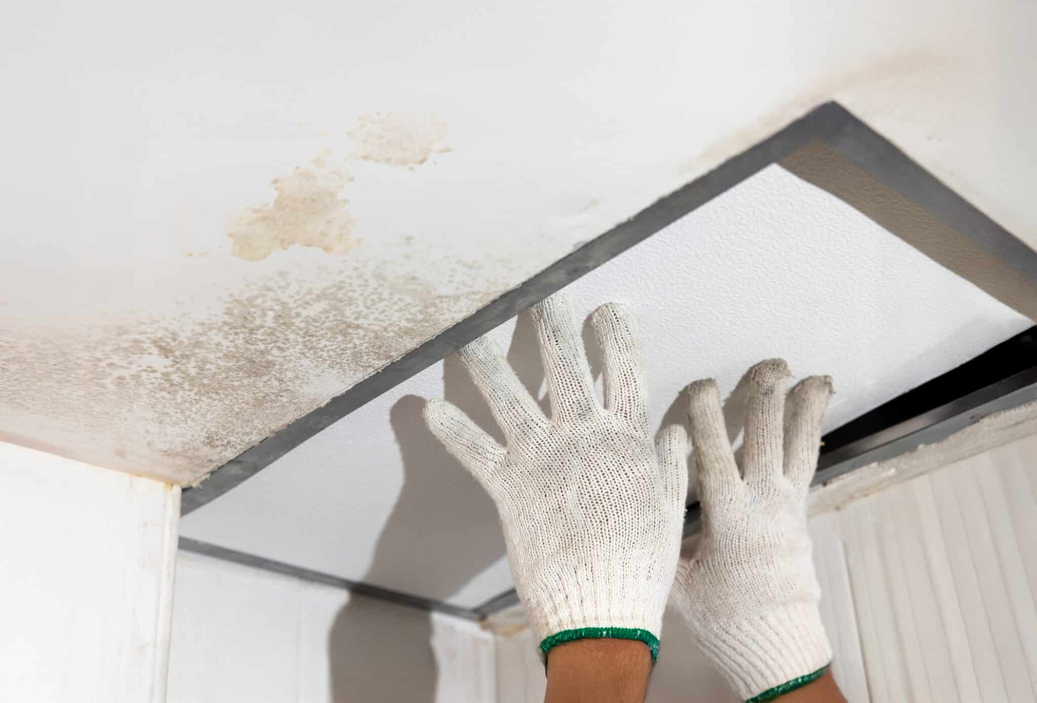 Ceiling leak repair vs calling a roofer what plumbers handle.